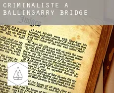 Criminaliste à Ballingarry Bridge