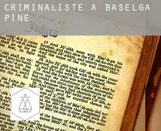 Criminaliste à Baselga di Pinè