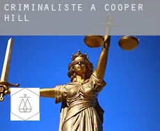 Criminaliste à Cooper Hill