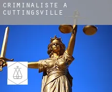 Criminaliste à  Cuttingsville