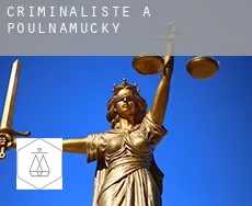 Criminaliste à Poulnamucky