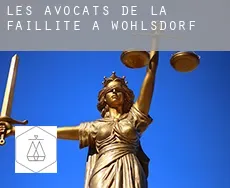 Les avocats de la faillite à Wöhlsdorf