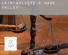 Criminaliste à Hare Valley