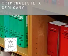 Criminaliste à Sedlčany