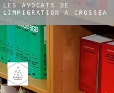 Les avocats de l'immigration à  Crossea