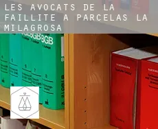 Les avocats de la faillite à  Parcelas La Milagrosa