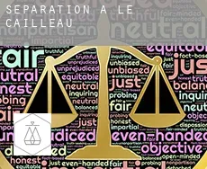 Séparation à Le Cailleau