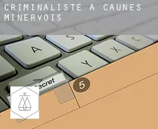 Criminaliste à Caunes-Minervois