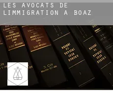 Les avocats de l'immigration à  Boaz