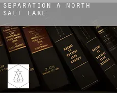 Séparation à  North Salt Lake