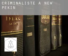 Criminaliste à New Pekin