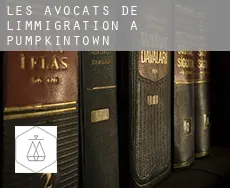 Les avocats de l'immigration à  Pumpkintown