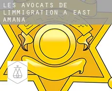Les avocats de l'immigration à  East Amana