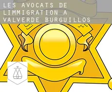 Les avocats de l'immigration à  Valverde de Burguillos