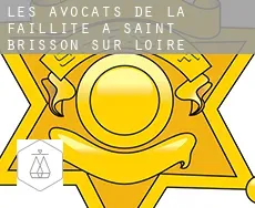 Les avocats de la faillite à Saint-Brisson-sur-Loire