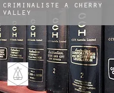 Criminaliste à Cherry Valley