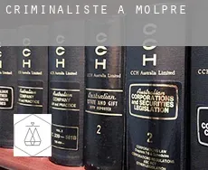 Criminaliste à Molpré