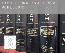 Expulsions avocats à Wöhlsdorf