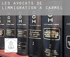Les avocats de l'immigration à  Carmel