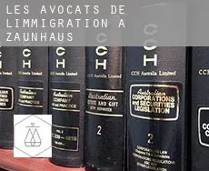 Les avocats de l'immigration à  Zaunhaus