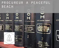 Procureur à Peaceful Beach