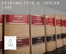 Criminaliste à  Indian Lake