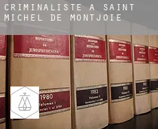 Criminaliste à Saint-Michel-de-Montjoie