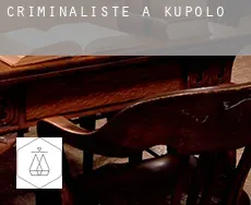 Criminaliste à Kupolo