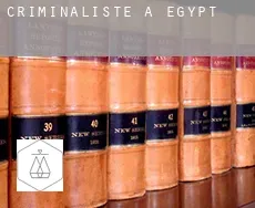 Criminaliste à  Egypt