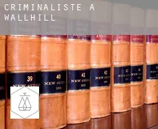 Criminaliste à Wallhill