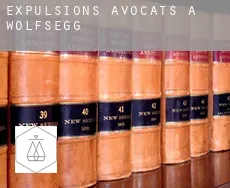 Expulsions avocats à Wolfsegg