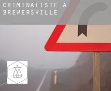 Criminaliste à  Brewersville