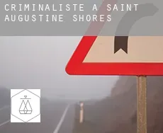 Criminaliste à Saint Augustine Shores