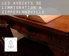 Les avocats de l'immigration à  Zipperlandville
