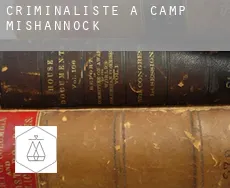 Criminaliste à Camp Mishannock
