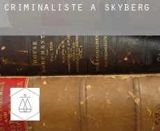 Criminaliste à Skyberg
