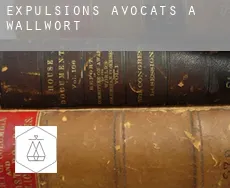 Expulsions avocats à  Wallwort