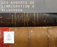 Les avocats de l'immigration à  Wildsöden