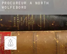 Procureur à North Wolfeboro