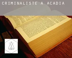 Criminaliste à  Acadia