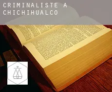 Criminaliste à Chichihualco