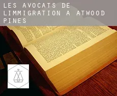 Les avocats de l'immigration à  Atwood Pines
