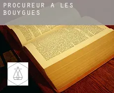 Procureur à Les Bouygues