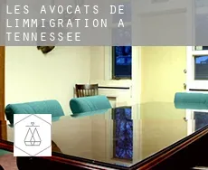 Les avocats de l'immigration à  Tennessee
