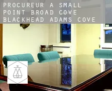 Procureur à  Small Point-Broad Cove-Blackhead-Adams Cove