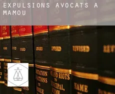 Expulsions avocats à Mamou