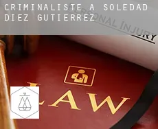 Criminaliste à Soledad Díez Gutiérrez