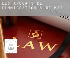 Les avocats de l'immigration à  Delmar