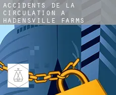 Accidents de la circulation à  Hadensville Farms