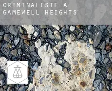 Criminaliste à Gamewell Heights
